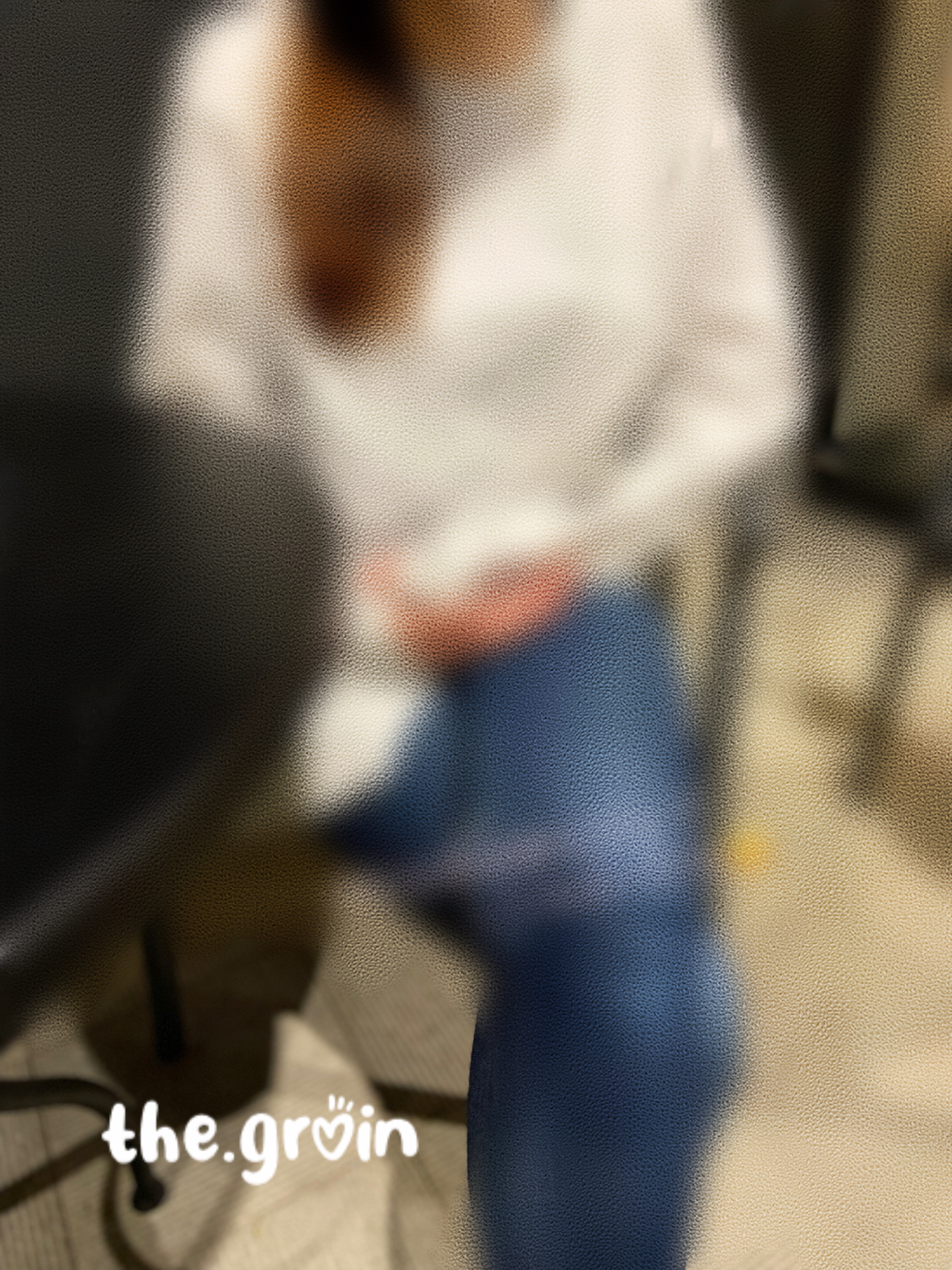 the.groin
